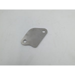 Pump blanking plate
