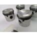 Pistons with rings (+20)