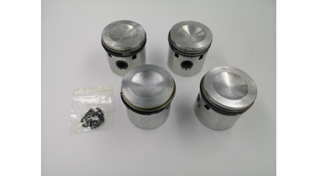 Pistons with rings (+40)