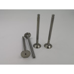Exhaust valves for 1725 Exhaust valves for 1725