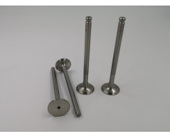 Exhaust valves for 1725 Exhaust valves for 1725