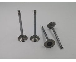 Inlet valves for 1725 Inlet valves for 1725