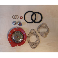 Petrol pump rebuild kit