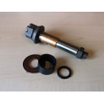 Swivel pin kit (kingpin)